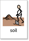 Rocks-and-Soils